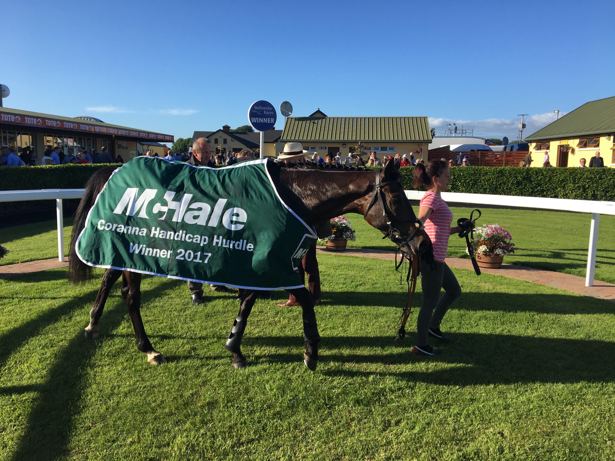 Swamp Fox, ganador del McHale Coranna Handicap Hurdle