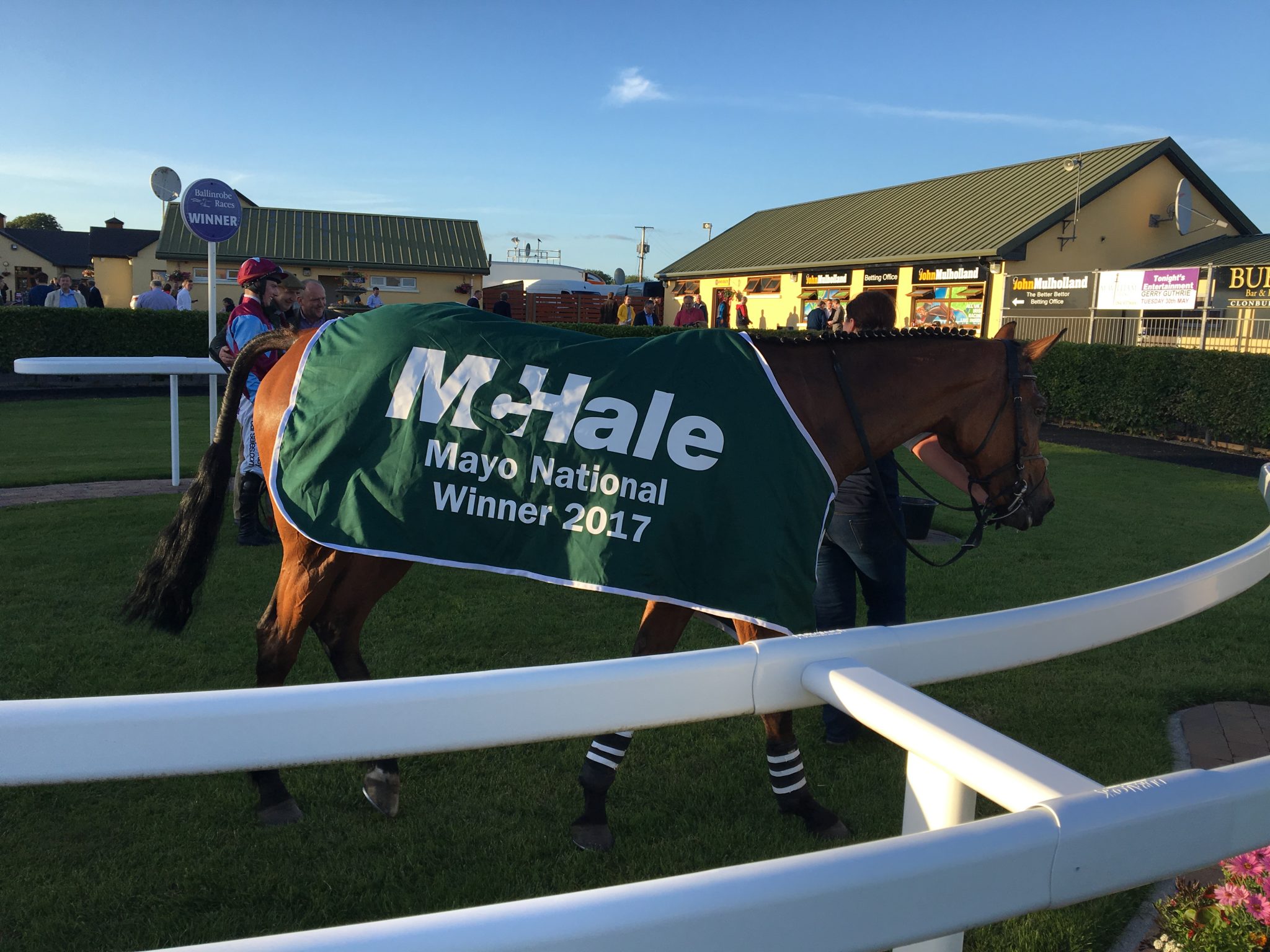 Kilcarry Bridge, McHale Mayo National Winner